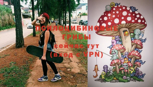 дмт Армянск