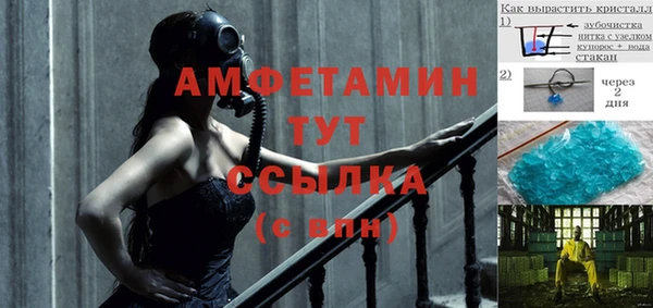 стаф Гусев