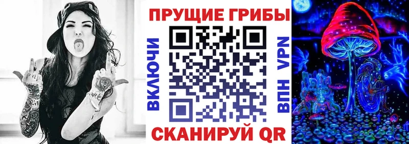 Псилоцибиновые грибы мухоморы  мега ONION  Семикаракорск 